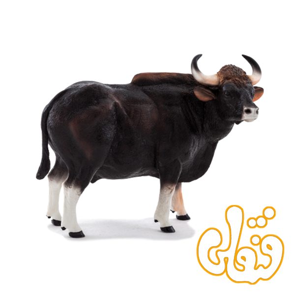 گاو وحشی هندی Gaur Bull 387170