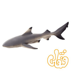 کوسه باله مشکی Black Tip Reef Shark 387357