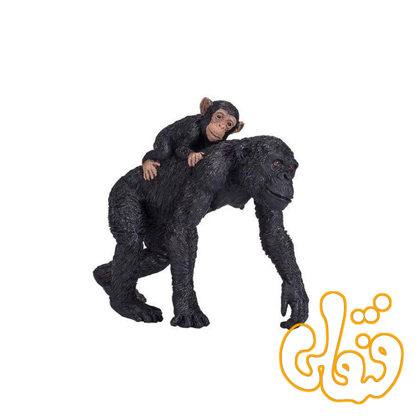 شامپانزه با بچه Chimpanzee and Baby 387264