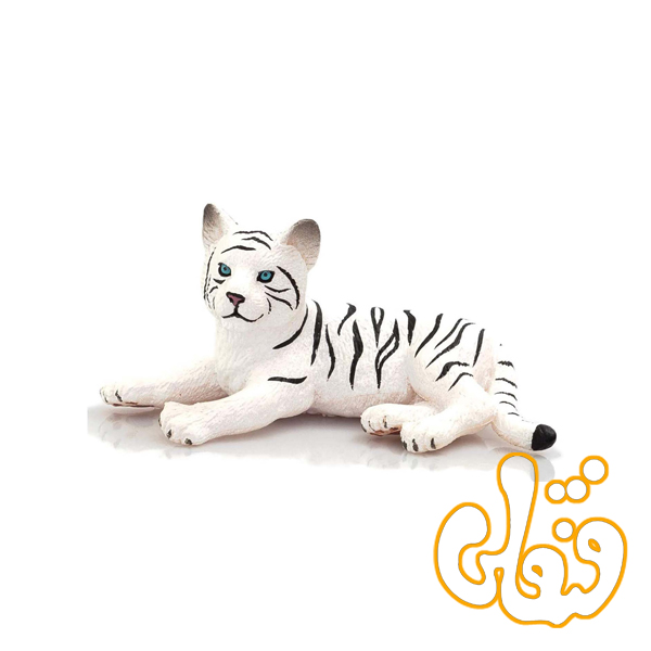 توله ببر سفید نشسته White Tiger Cub Lying Down 387015