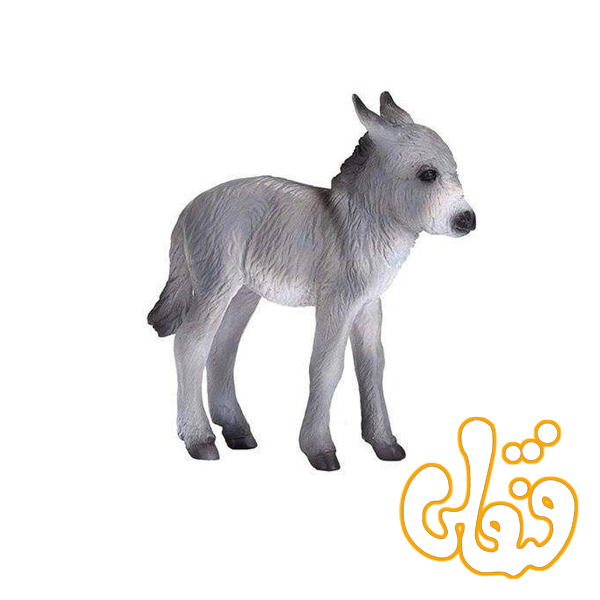 کره الاغ Donkey Foal 387398