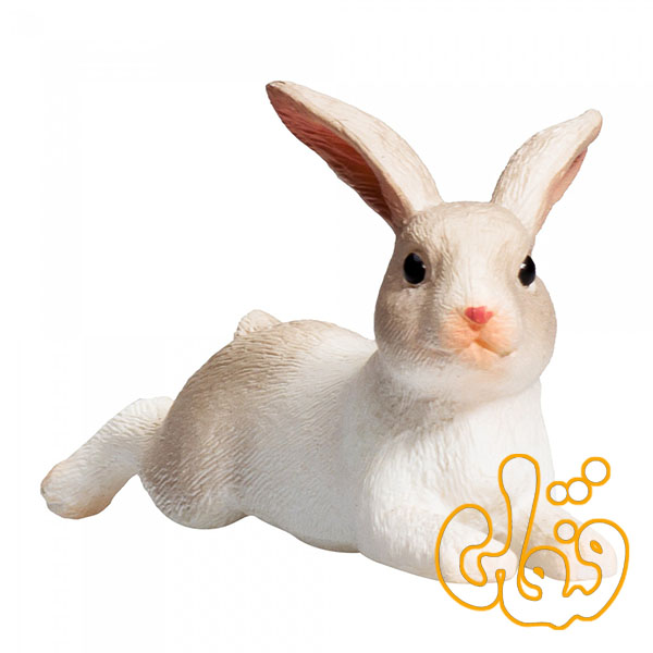 خرگوش نشسته Rabbit Sitting 387141