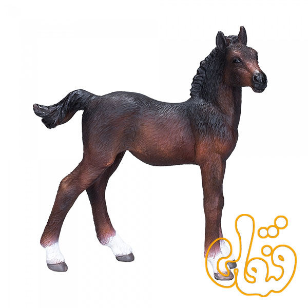 کره اسب هانوفر Hanoverian Foal Baby 381018