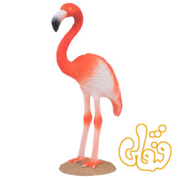فلامینگوی آمریکایی American Flamingo 387134
