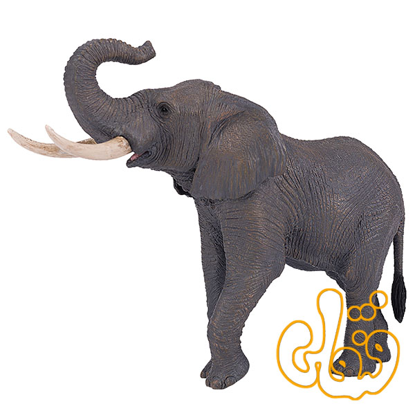 فیل آفریقایی African Elephant 381005
