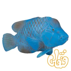 فیگور ماهی گروپر آبی موجو Blue Groper 387356