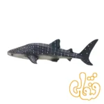 فیگور کوسه نهنگ موجو Whale Shark 381038