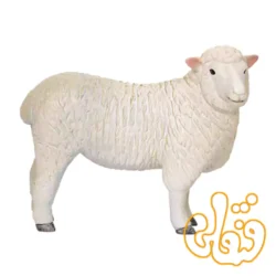 فیگور گوسفند رامنی میش موجو Romney Sheep (Ewe) 381064