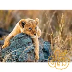 پازل 200 قطعه توله شیر رونزبرگر Little Lion 12946 - Image 2