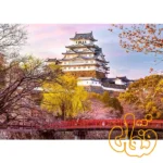 پازل 1000 قطعه قلعه هیمجی، ژاپن رونزبرگر Himeji Castle, Japan 12001316 - Image 2
