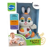 خرگوش موزیکال رقصنده هولی تویز Dancing Bunny HE9991