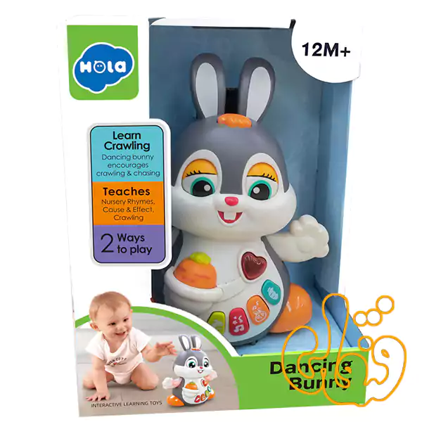 خرگوش موزیکال رقصنده هولی تویز Dancing Bunny HE9991