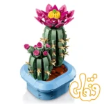 ساختنی لگو گیاه شناسی کاکتوس گلدار Flowering Cactus 11509 - Image 3