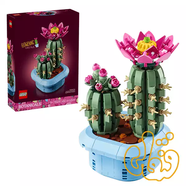 ساختنی لگو گیاه شناسی کاکتوس گلدار Flowering Cactus 11509